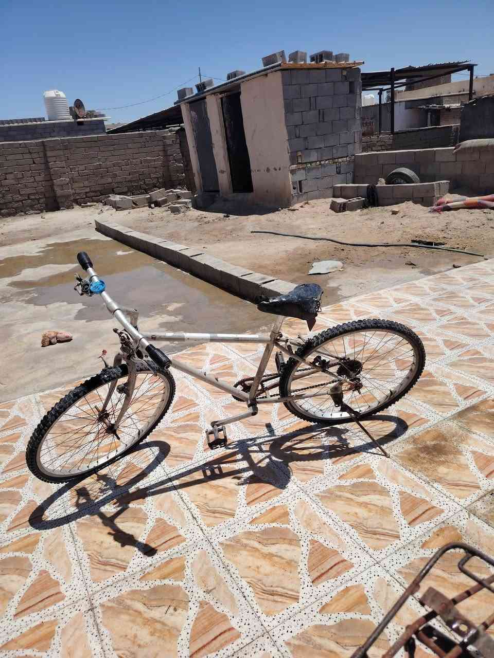 بسكلات البيع مكان بصره كرنه ثغر ريدلهن ترتيب الوحد  15الف


**إذا كنت صاحب هذا الإعلان وتريد حذفه لأي سبب، رجاءا أرسل رسالة إلى الدعم الفني**