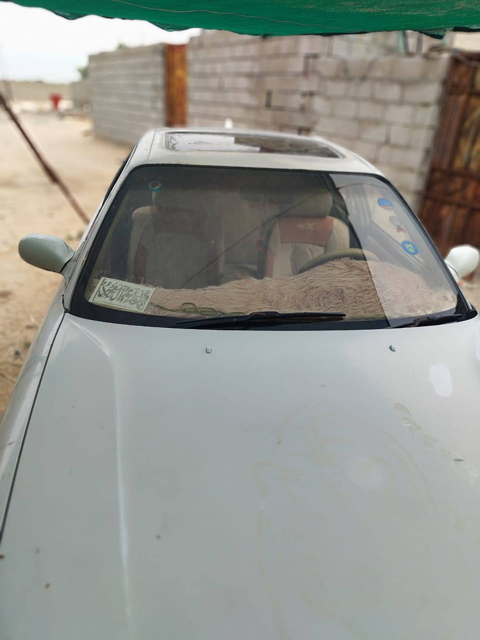 مارك نفخ
موديل 96

تحويل مباشر

كير ومحرك مكفولات 

حداديه جديده 

دواخل بيجي 

تبريد عاطل 

تخم تاير 

سياره جاهزه توها صاعده هزه  

مداوره ثاني يوم 

سياره  بيها كصه فقط 

سعرر 40وبيها مجال

الرقم: ***********
