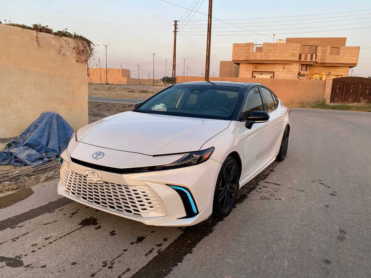 فول مواصفات *********** بغداد, العراق

