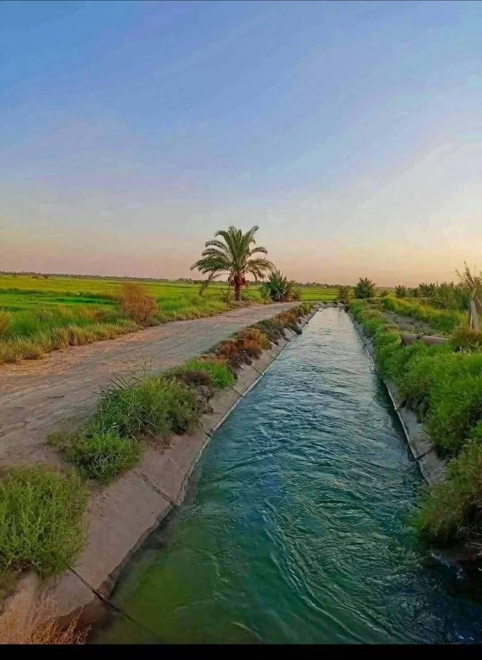🔥🔥 فرصة ذهبية للاستثمار والسكن 🔥🔥

املك أرض طابو بمساحة 2500 متر وبسعر 8 مليون فقط 💰🏡

ضمن مساحة 10 دونم، والبيع من دونم واحد فما فوق ✅

💧 خدمات كاملة:

🚜 ماء سقي

💦 ماء إسالة

⚡ كهرباء

🌳 يمها مزارع وسكن وبساتين وكل الخدمات اللازمة، غير الراحة النفسية والهدوء والهواء النقي بعيداً عن الزحام.

📐 وجه الدونم 50 × 50 متر مربع

📍 العنوان: بغداد - التاجي - بجانب مرقد بنات الحسن

📞 للاستفسار:

***********
***********

#بغداد #التاجي #اراضي_للبيع #ارض_طابو #عقارات #استثمار #استثمار_عقاري #بساتين #مزارع #العراق #بيع_اراضي #عقار #فرصة_استثمارية #اكسبلور #ترند #للبيع #بغداد_التاجي
