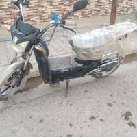 باسكل شحن • رمادي حي ضباط