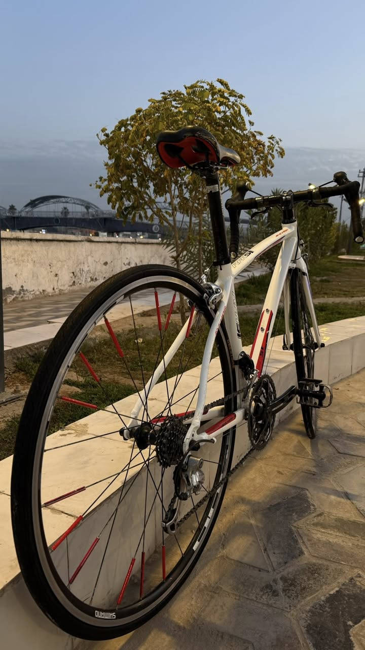 السلام عليكم 
-رود بايك ماركة anchor تصميم انسيابي 
-فريم ناصي معدن المنيوم ماشة كاربون 
- سيت تياكرا 9-2 العقرب والنقال شيمانو 105
-صينية FSA
 -بريكات شيمانو 
-السعر 290قفل


**إذا كنت صاحب هذا الإعلان وتريد حذفه لأي سبب، رجاءا أرسل رسالة إلى الدعم الفني**