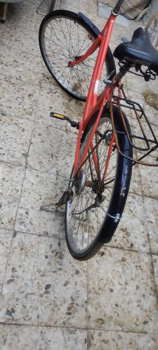 بايسكل للبيع المكان الكمالية العبيدي السعر 35


**إذا كنت صاحب هذا الإعلان وتريد حذفه لأي سبب، رجاءا أرسل رسالة إلى الدعم الفني**