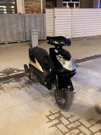 سكنس فحل • نوزل • شكاكيه