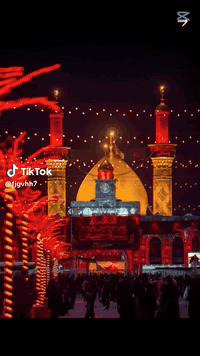 كربلاء المقدسة • كوت • ١٠نفر