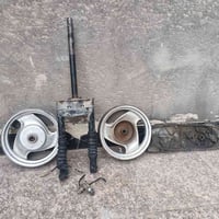 دولفين • شغال • للبيع