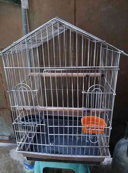 قفص حجم كبير مكاني الغزاليه سعر 10
*********** واتساب
