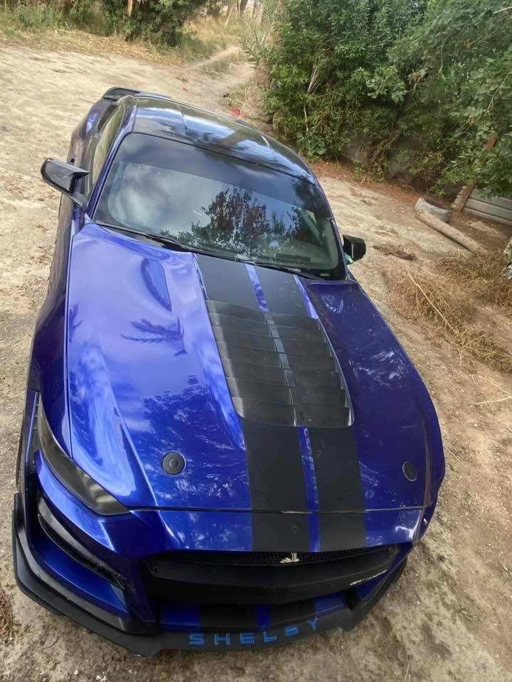 موستنگ 2016
محرك V6 المرغوب

مواصفات الـ6 سلندر معروفه 

مكينه وگير كفاااله 

تحكم ستيرن جهتين 

شفتات ستيرن 

تخم تاير جديد 

حداديه الاماميه90%

تبريد منضومة جديده 

الاضافات اللي عليها 

حلوگ صالنصه دبل كورسا 

كت شيلبي دعاميه بنيد دوس 

لحيه شيلبي +زعانف

كفر مري باتمان

دفيوزر هينسي 

سبايدر شيلبي

سقف روز رايس 

قمارة مغلفه اسود 

غرفه بريميوم مقاعد جلد لون احمر 

ويل فويسن حجم 20 تو سايز 

دوس بريميوم ضوئيه

شفقة مرايه جانبيه

منظومة زنون 

بگ لايت متغير شكل الـ24

تحكم ع الجهاز 

عليها غرامات 500 الف ينزلن من السعرر !

صوتها تحكم ع الريمونت 

رقم سليمانية 
مداور ثاني يوم  

السياره صبغ 4قطع ابيع حزام

ماشيه (84) mil

السيارة جاهزه على اخر حبايه 

مكان السيارة 

محافظة الديوانية قضاء غماس 

السعرر135 وبيها مجال للشراي 

رجاءاً اذا بس عمله لتدخلي خاص 

كلشي واضح گدامك تعجبك تشلع 

عيوني متعجبك سمعنه كلمة طيبه 

واعبرها تحياتي للجميع
***********
