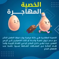 عيادة الدكتور الجراح احمد هندي احمد طبيب الجراحة البوليه  ايام الدوام ...