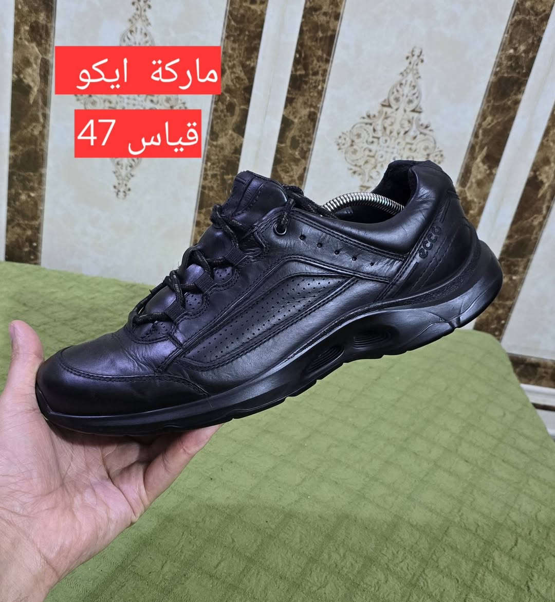 باله.   اصلي.      جبلي عسكريه 💪💪

قياس داخل الصوره 

يتوفر توصيل 🚚🚚فقط 

حجز واتساب ***********

#كربلاء #ناصريه #اربيل #زاخو #سليمانيه #دهوك #موصل #بصره #نجف #بغداد #كركوك #بابل #العرق #سوريه #الخليج
