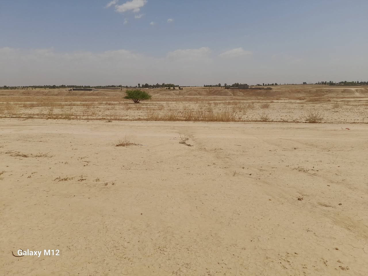 أرض سند شرط التحويل من دائرة العقاري بالشرگاط  مساحتها 9 دوانم ونص ///// مع 4 دونم بور أميرية طبگها  موقع الأرض الشرگاط  برية بعاجة   للأستفسار عن السعر  اتصل على هذه الأرقام  ***********     ***********
