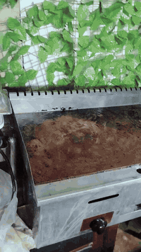 كرين للبيع مكان ديوانية
الشراي يتدلل


**إذا كنت صاحب هذا الإعلان وتريد حذفه لأي سبب، رجاءا أرسل رسالة إلى الدعم الفني**