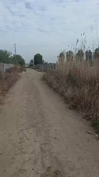 اليوسفيه • ٤ دونم • طابو زراعي