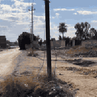 👋السلام عليكم  توجد 200 م 100 م 50 م  في هكتاريا وشعار العامريه الثاني...