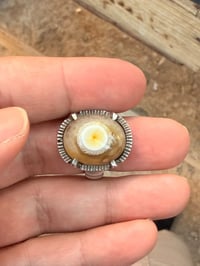 سليماني هندي • قطعة تخبل • توصيل