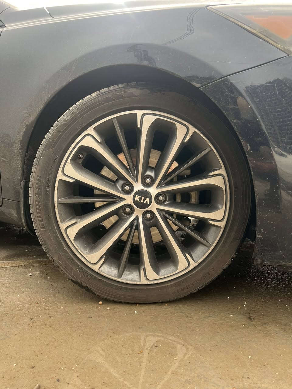 السلام عليكم كيا كاندرا امريكي للبيع
2017 /  6 سلندر 3300 gdi
الحادث بابين بأمريكا والبنيد بي جراد ماشية ٩١
المواصفات فووول: 
بانوراما
بصمة
كشن جلد تدفئة تبريد
تحكمات ستيرن
كشن خزن ميموري
٤وضعيات قيادة
تدفئة ستيرن
شفتات ستيرن
داخل بيجي
اشاير مري
مري شفط
رادار جانبي امامي خلفي 
شاشة كار بلي 
كاميرا دوارة
اوتو هولد
تحديد مسار
السعر:١٣٨وبيها مجال بسيط
المكان:بغداد الدورة ابو دشير
للأتصال:***********
السيارة بأسمي تحويل ثاني يوم
