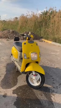 بوليس • ٢٠٠٨ • مامفتوح