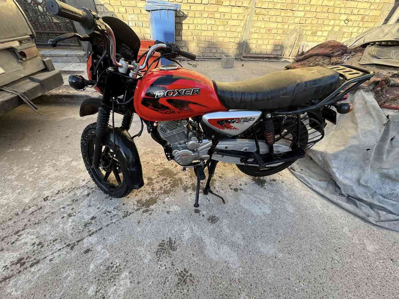 السلام عليكم بوكسر 23 للبيع مكينه قفاز 250 5 كير الدراجه جاهزه كلشي متصرف عليها الدراجه صار بيها كص بشاصي لين محرك جبير يعني مشتغلها شغل مال جناي السعر مليون 900  وتحويل ثاني يوم الستفسار ***********
