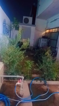 طابو صرف • ٢٠٠م • كركوك أسواق انور