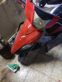 ماكس ثعلب • شغاله • كلج امامي تعبان