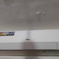 سبلت • ٢ طن • مستعجل