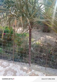 طابو صرف • سيف سعد • ٣٠٠م