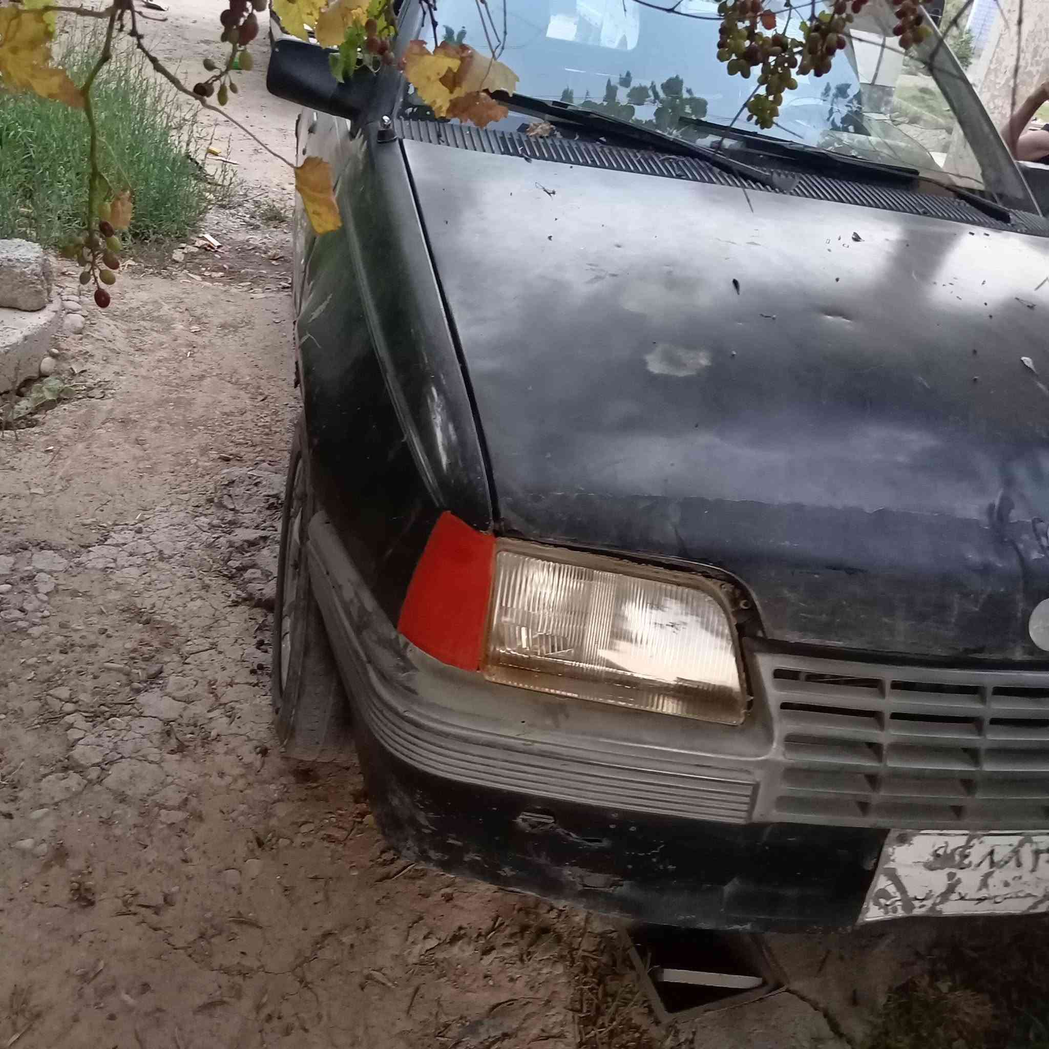 للبيع 
سعر مناسب
قصاط يرهم
شعندك مراوس
هم يرهم 
الاستفسار ***********

