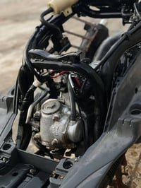 ماكس منغولي • بوشه 55 • سلف