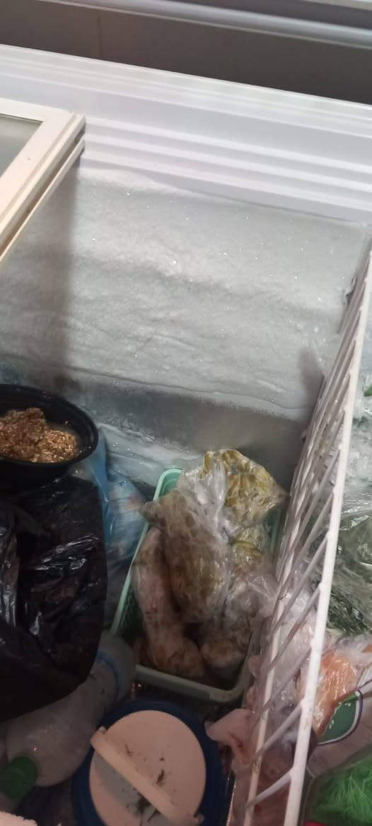 مجمده رويال باب لأول مداخله تصليح نهائيا تاخذوه علا شرط وفحص السعر 225 وبيه مجال


**إذا كنت صاحب هذا الإعلان وتريد حذفه لأي سبب، رجاءا أرسل رسالة إلى الدعم الفني**