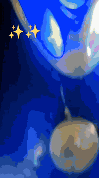 سلام عليكم  دراجه لبيع سعر خاص  مكاني  قلعة  سكر


**إذا كنت صاحب هذا الإعلان وتريد حذفه لأي سبب، رجاءا أرسل رسالة إلى الدعم الفني**