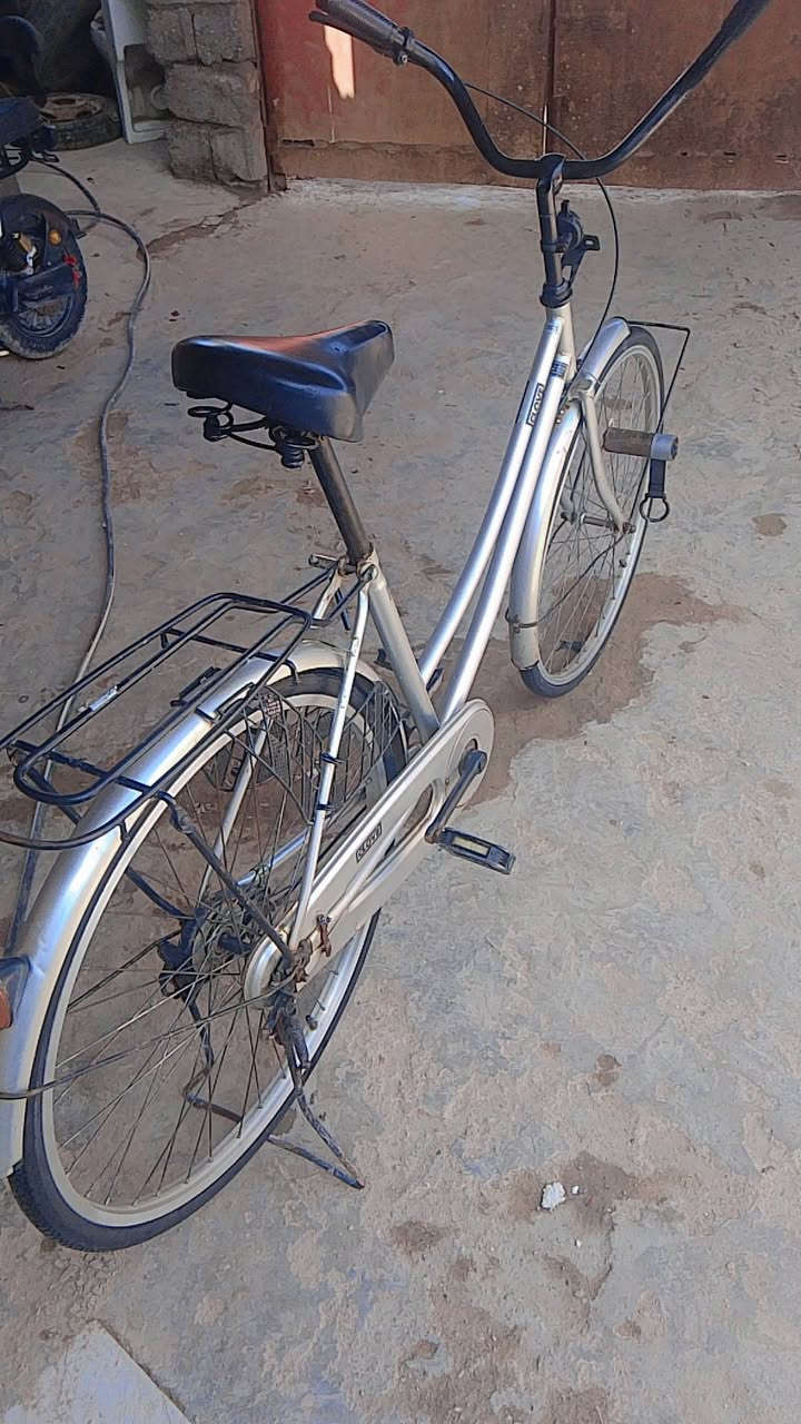 بايسكل سياحي حجم 26 مديل 2019 نضيف حاويه النوعيه اكلوف العنوان البصره شط العرب السعر 120 ابي مجال


**إذا كنت صاحب هذا الإعلان وتريد حذفه لأي سبب، رجاءا أرسل رسالة إلى الدعم الفني**