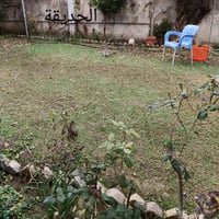 حي السكر • ٣٤٨م • سند ٢٠٢٥