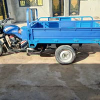 هستوته • دولفين • البصره