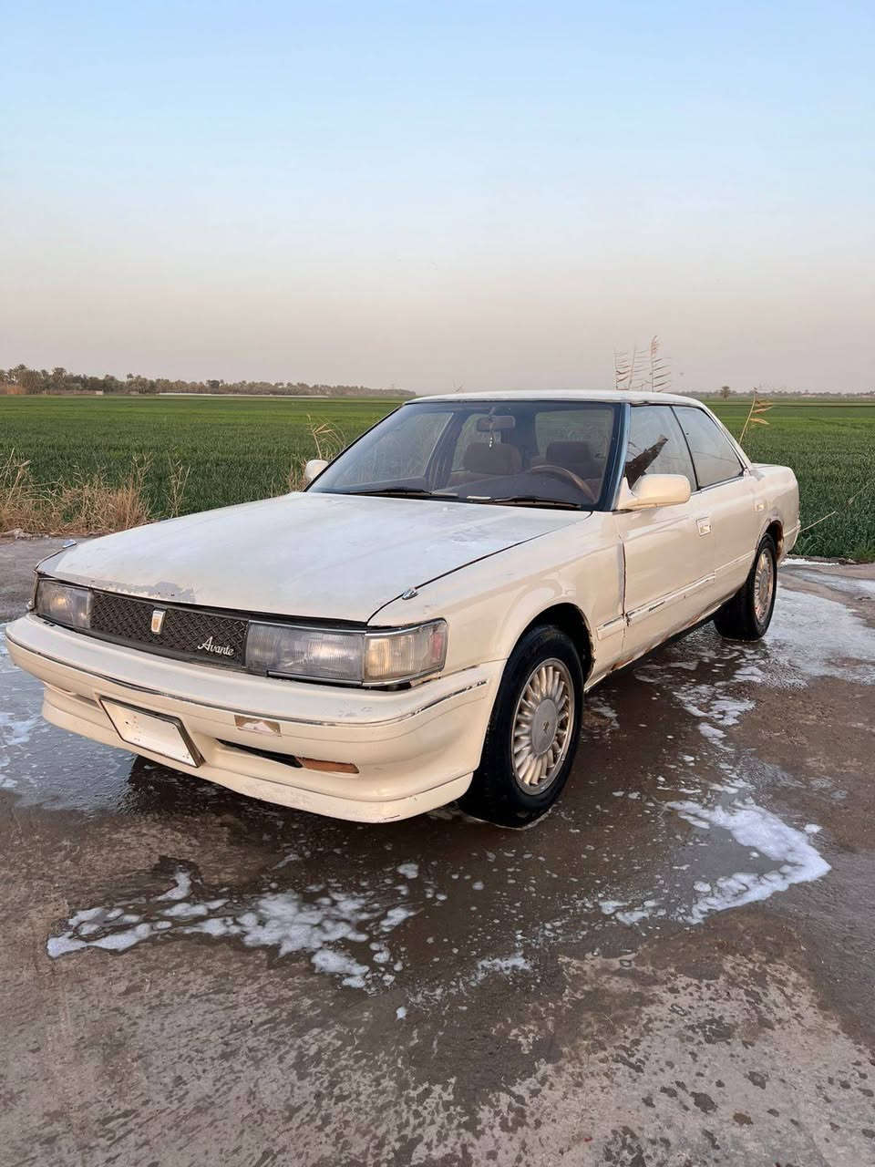 مارك موديل 91 كفاله كص ونقل جثه وضربه
 معمر خياسات فقط تريد صبغ 
غرفه جديده مكينه وكير جدد سي 9 vvt
حداديه 70٪100
رقم نجف انكليزي هزه جديده
مكان نجف ناحيه الحريه
السعر 30 وبيه مجال قليل
الاستفسار ***********
