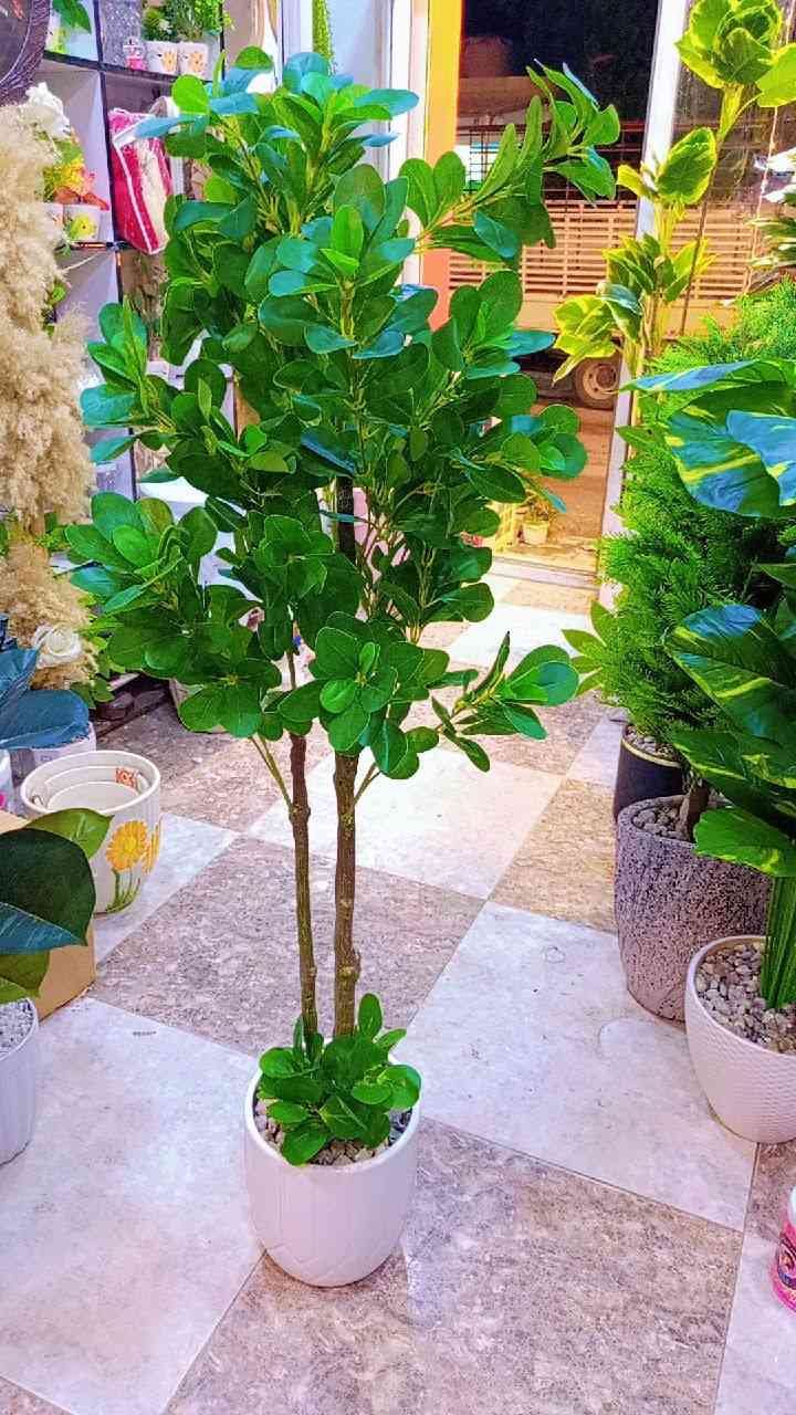 🌼🌼🌼
35


**إذا كنت صاحب هذا الإعلان وتريد حذفه لأي سبب، رجاءا أرسل رسالة إلى الدعم الفني**