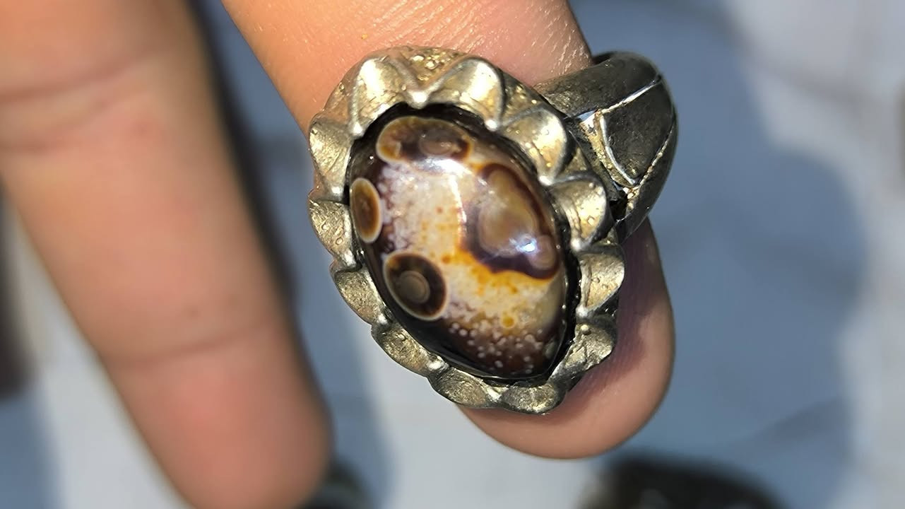 سليماني عيون صريحة سعر القطعة 5الف بلاش


**إذا كنت صاحب هذا الإعلان وتريد حذفه لأي سبب، رجاءا أرسل رسالة إلى الدعم الفني**