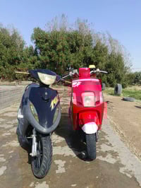 كفالة عامة • بابل • موتور