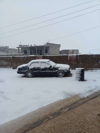 ارنب • ١٩٩٣ • رقم نينوى