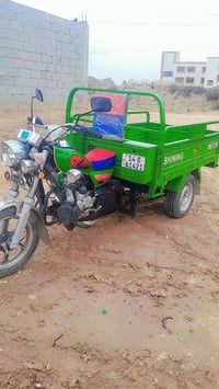 ستوته كربلائيه • رقم انكليزي • البصره الزريجي