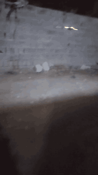 طياره درون بيها كامره بس شلون صور ماعرف اكو تطبيق ينزل تربط عليها وتشتغل حلوه ومرتبه فديو موضح

سعرها ٣٠ الف العنوان كربلاء

***********
