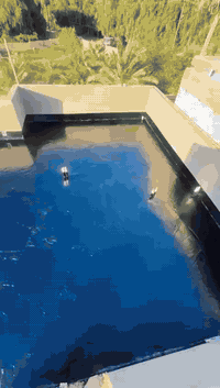 (.. حماية سطحك مسؤوليتنا..).. عازل رطوبه 100٪ ..   حمي سطحك من الرطوبه 💦
🌟 عرض خااص 🌟  
جير دوره ب75 الف فقط! شرط جير بغداد وفحص مختبر 
👌 مع ضمان، شرط الفحص المهندس 👍
اتصلوا الآن:
***********
***********
