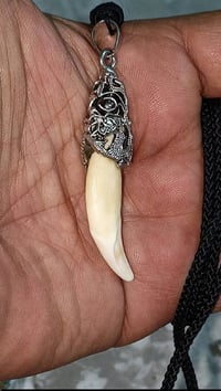 مگلد ناب الذيب الاصلي ذمة ذمة اصلي شرط الفحص الناب مروحن ومنجم وجاهز ل...