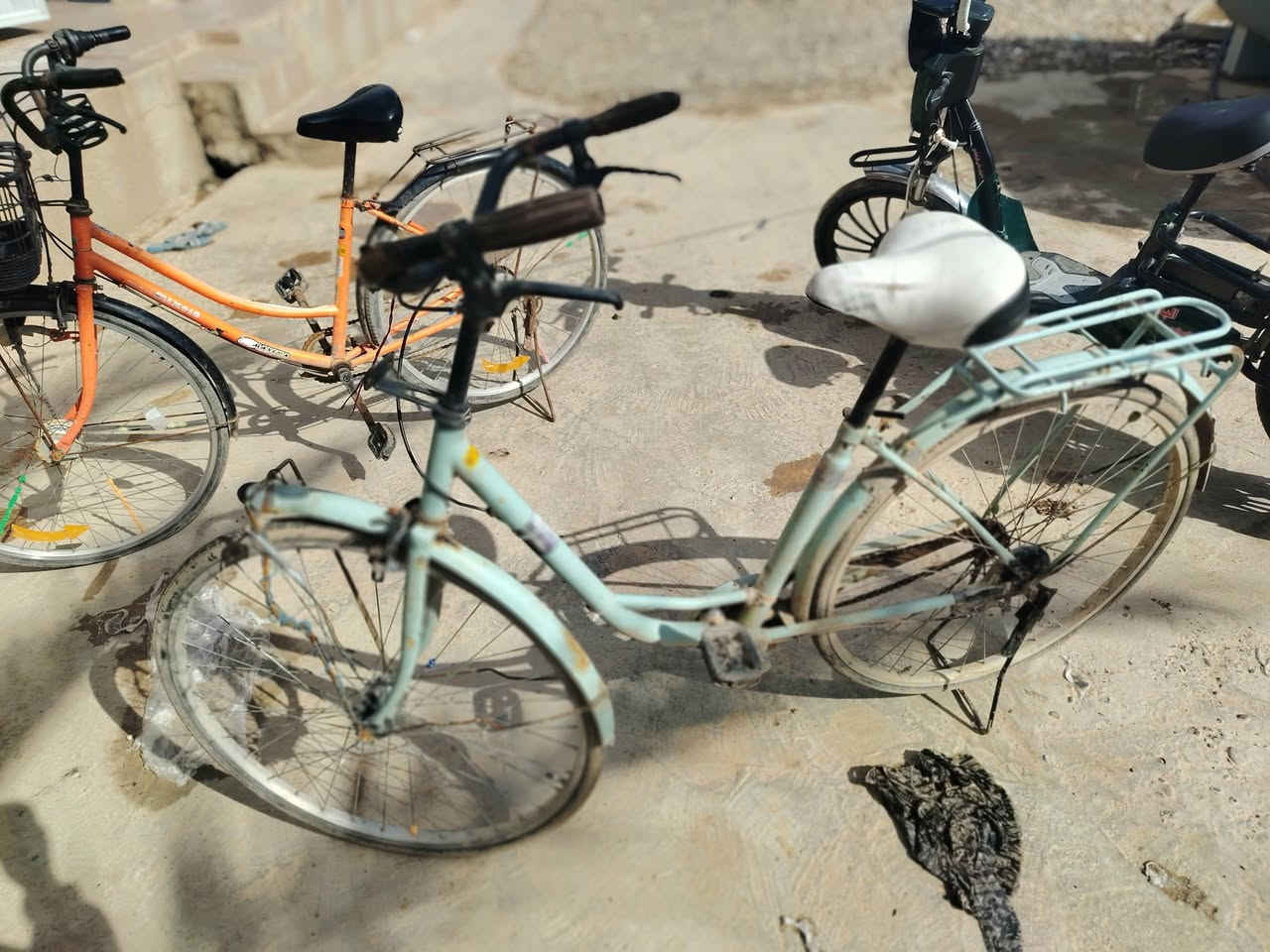 بايسكلات للبيع مكاني قرية الشويرات


**إذا كنت صاحب هذا الإعلان وتريد حذفه لأي سبب، رجاءا أرسل رسالة إلى الدعم الفني**