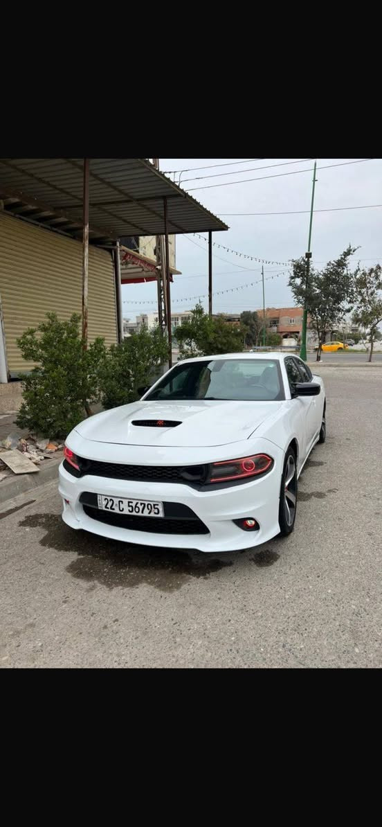 للبيع والمراوس 
دوج جارجر SXT بلاص 
( اعلى موصفات بلجارجر ) القفله👍 
 موصفات فول الفول 1-1 
وارد امريكي ( موديل 2018) ( لون ابيض ملكي )
السيارة رقم اربيل  تحويل مباشر  
السيارة جديدة جدا (ماشية72 الف) 
السيارة على وضع الشركة جديدة جدا 
محرك 3600 SXT بلاص
فتحة سقف 
رادار جانبي 
شاشة جبيرة 
كشنات كهرباء ايمن وايسر كشنات تدفئة وتبريد
كشنات خلفية تدفئة
خزن ميمري كشنات 
مري جانبي قلاب عند رجوع السيارة
حساسات خلفية مع رادار خلفي
تحكم مقود الستيرن كهرباء يصعد وينزل + تدفئة
سستم صوت الباين مع دمام بلادي بصندوك صوت رهيب
السيارة كشنات جلد كامل حته البطاين جلد خياط
دشبول ديتونه السيارة جلد خياط     
تشغيل عن بعد
رادار جانبي نقطة عمياء 
انارة ترحيب بلمري الجانبية
ويلكب جبير  + تخم تاير بلادي شركة
لايتات زنون عالي ناصي  درجه اولى
اضافات جكات صالنصه سقف روز رايز
حادث تبديل جامرلغ سكن فقط من دون دواخل من دون ايرباك باب السكن والسايق بيهم تعيار
***********
