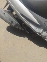 ماكس منغولي • نظيفه • بوشه 49
