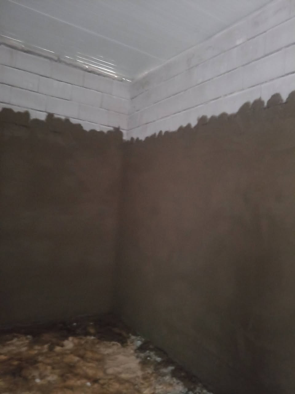 خلفه لباخ ***********
