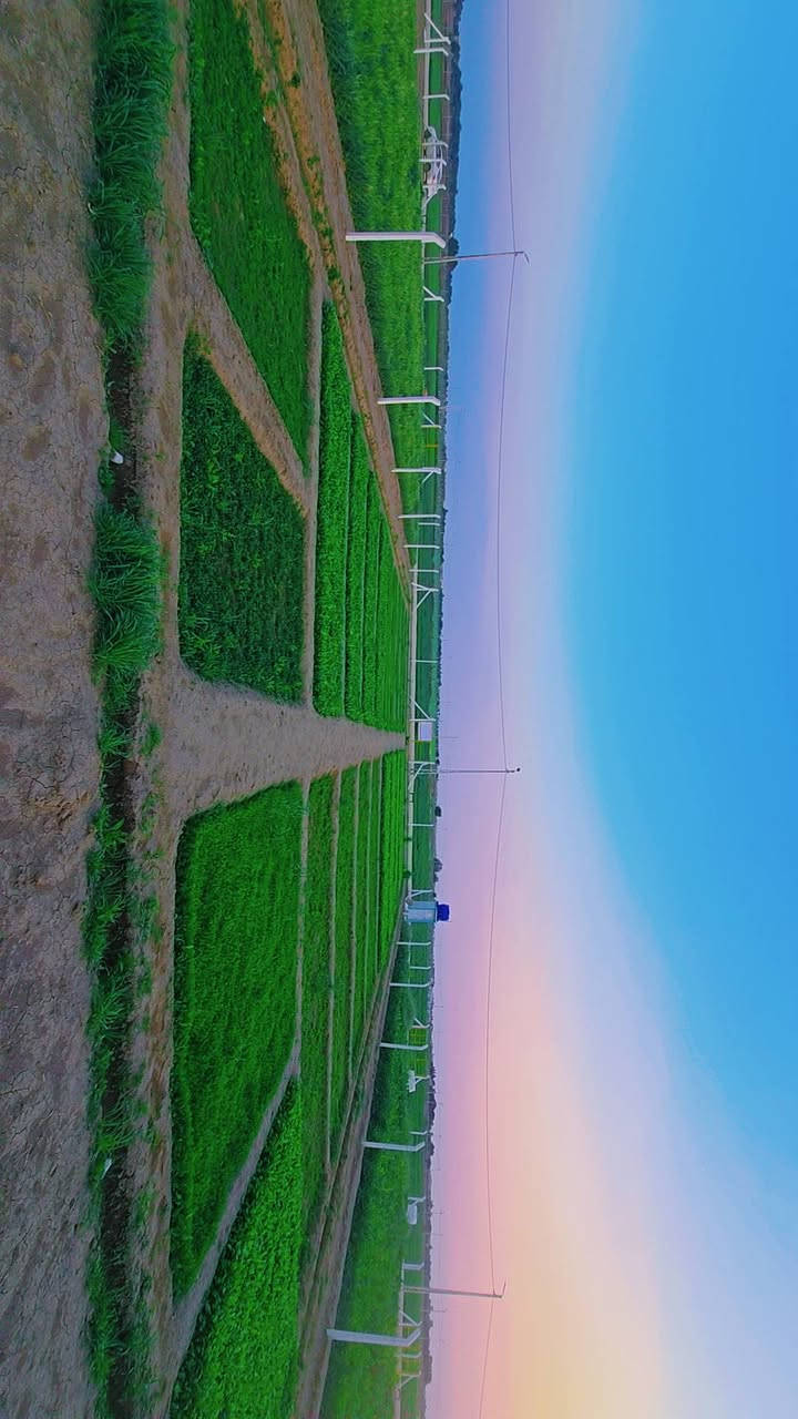 مزرعه للبيع سند 25 المساحه 1000متر ( رقم 8بالمخطط) خلف مجمع توحيد العفلوكي الأول نزله سكه القطار  خدمات( ماء ثلاث خطوط كهرباء محوله خاصه بالمجمع شارع تبليط +تكمله التبليط جلمود ) للأستفسار [ *********** ] [***********]
