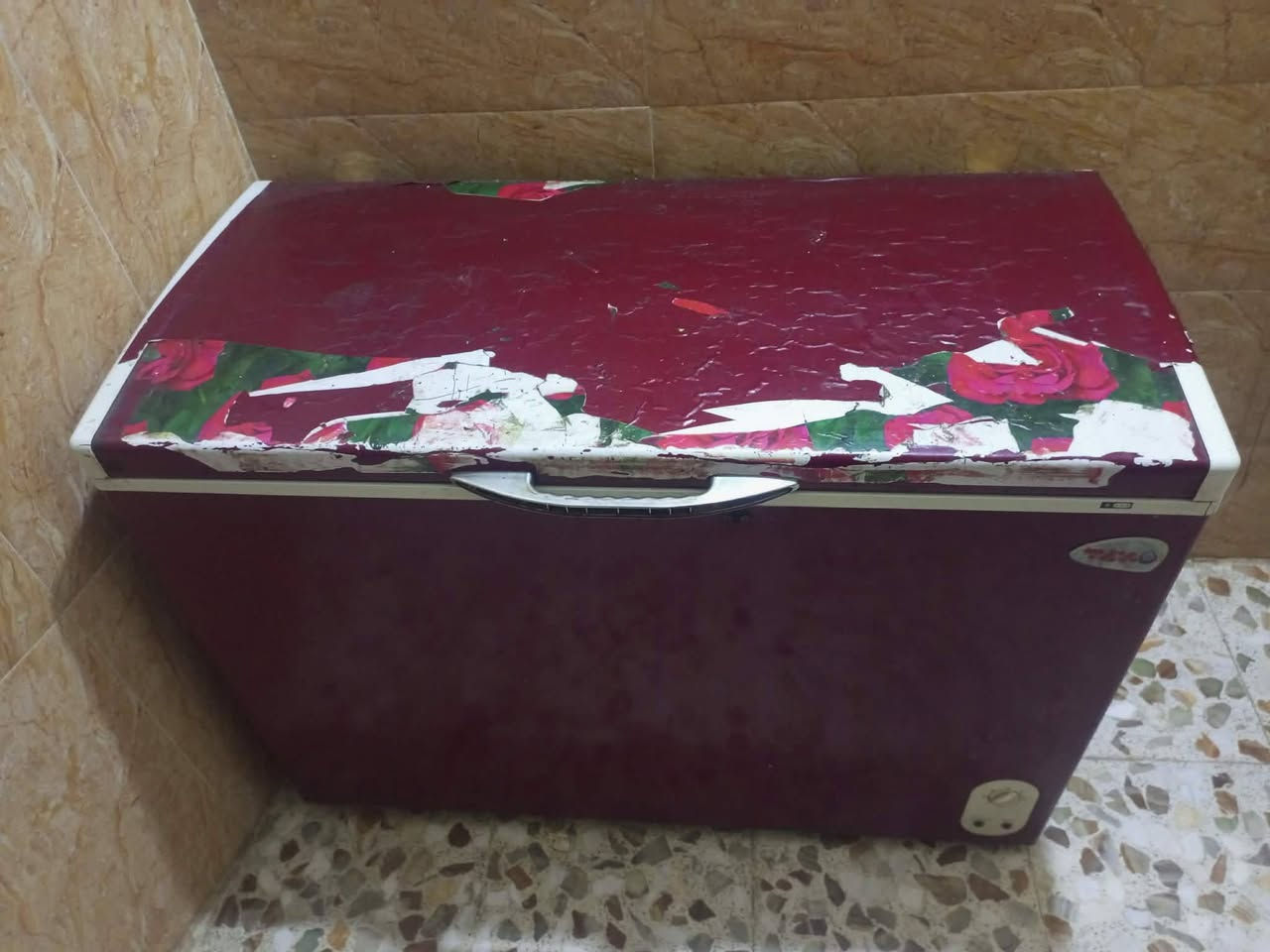 مكلف باالنشر غراض للبيع ثلاجه بابين ما داخله تصليح تجميد فول + مجمده للبيع شغاله + جربايه حديد بسعر مناسب نعما نيه استفسار خاص


**إذا كنت صاحب هذا الإعلان وتريد حذفه لأي سبب، رجاءا أرسل رسالة إلى الدعم الفني**