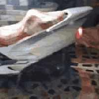 لبيع فورزه صفر 6 سعر 400 وبيه مجال مكان الحسينيه قرب مطعم جكن رقم بي و...