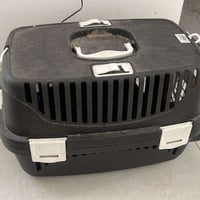 بيت قطة • مستلزمات قطط